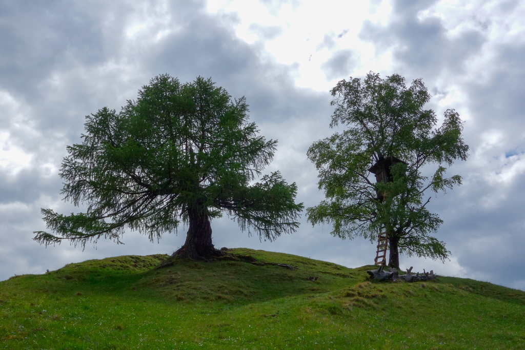 15-Rabant Alm-20140514-fertig